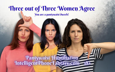 A Day In The Life Of A Pantywaist